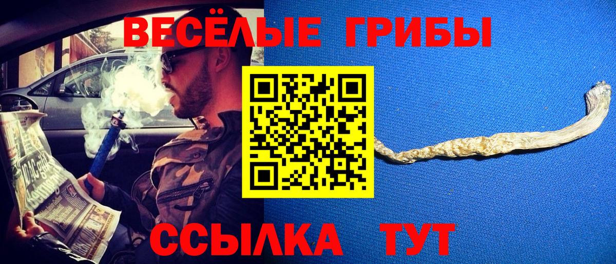 Псилоцибиновые грибы Psilocybine cubensis  Псилоцибиновые грибы Psilocybine cubensis  Заволжье  Вход с VPN 